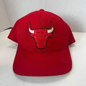 Chicago bulls mitchell ness